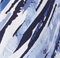 Abstract - White/Navy