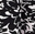 Print - Black/White