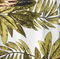 Print - Palm