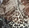 Snake - Grey
